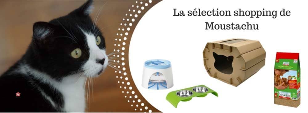 Accueillir Un Chat La Selection Shopping De Moustachu Blog Take Me Home